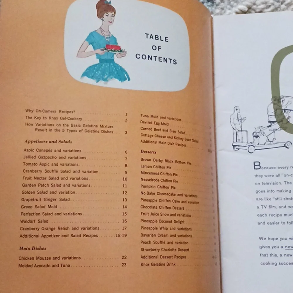KNOX On Camera Recipes Vintage 1963 Gelatin Cookbook RETRO Photos Salads